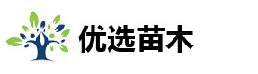 ѡ޺ɣ޺辰